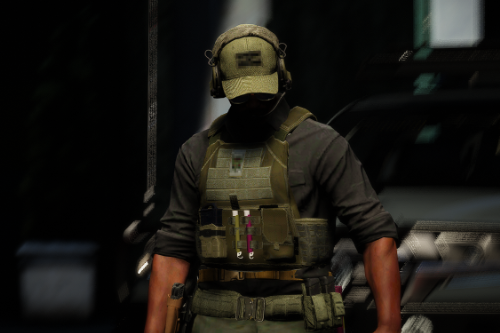 [Add-On] [FiveM] [MP Freemode] Plate Carrier