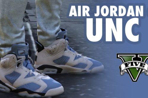 Air Jordan 6 UNC