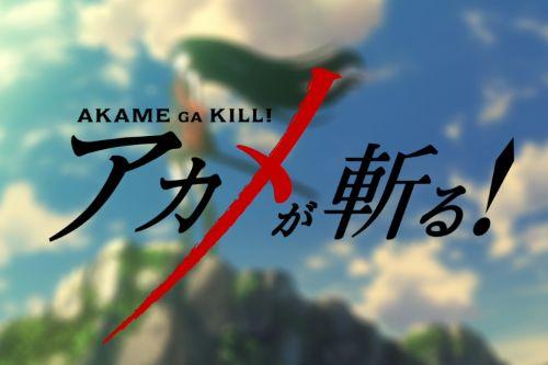 Akame Ga Kill Anime Loading Screens