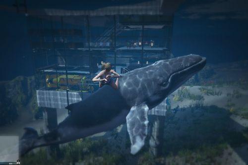 GTA 5 PC mods: falling whales, North Yankton unlocked and a cat