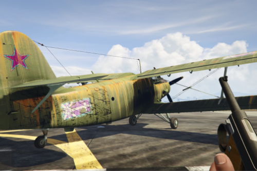 An-2 rusty + reisame flag