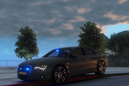 Audi A8 Dutch FBI