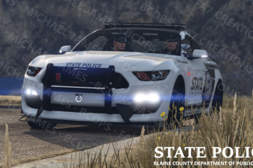 BCDPSRP State Police Background Pack 1