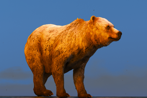 Bear [Add-On/Replace]