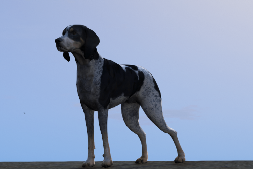 Bluetick Hound Dog [Add-On/Replace]
