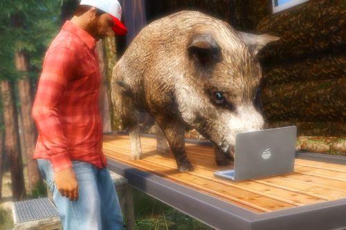 Boar Retexture