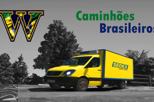 Caminhões brasileiros Mercedes Sprinter - Brazilian Delivery Truck (Sedex, Pepsi, Carreto, Carrefour, Habibs, Casas Bahia, Marabraz, pão de açúcar)