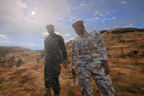 British Military DPM camo (Retexture) British Military DPM camo (Retexture)