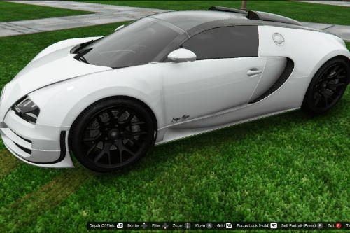 Bugatti Veyron L'orque Blanc Paintjob