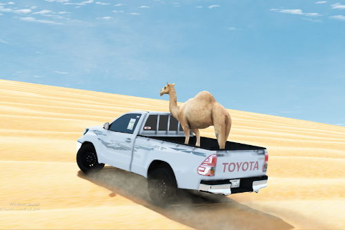Ride a Camel