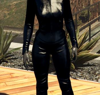 Catsuit for MP Female