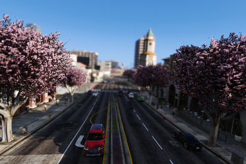 Cherry Blossom in GTA V (Tree Retexture)