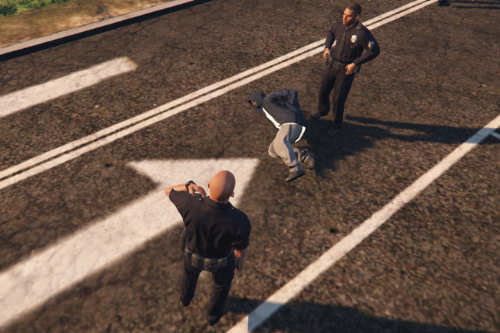 Cops Aresting Robbers [Menyoo] 