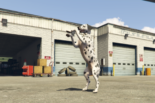 Dalmatian [REPLACE / ADD-ON FiveM]