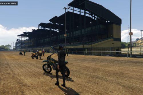 Dirt Track Race - 2 Laps