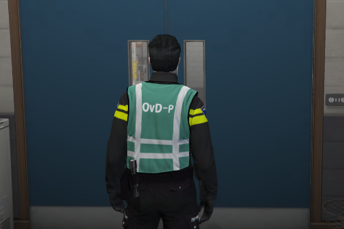 Dutch police vests I EUP