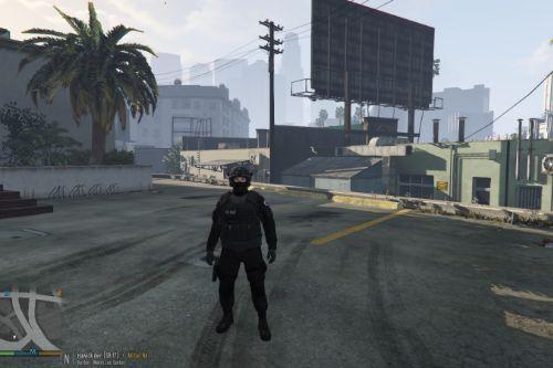 FIB SWAT and SWAT