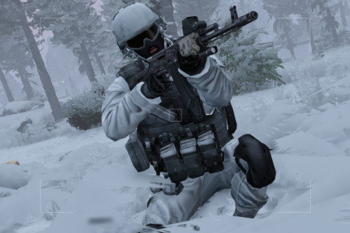 Flat Snow Camo for jr59's BF3 GIGN