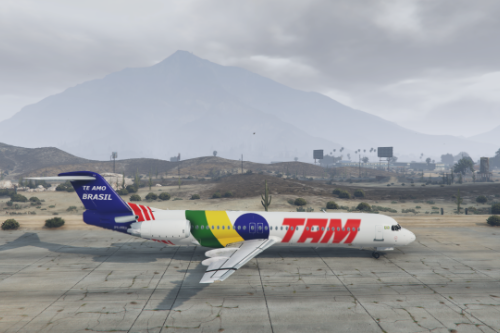 Fokker 100 livery e TAM special livery