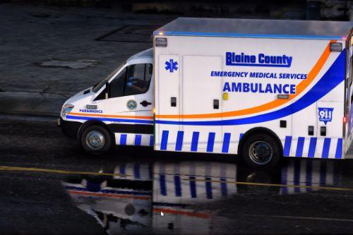 Freightliner Sprinter Los Santos/Blaine County Ambulance (ELS LODS)