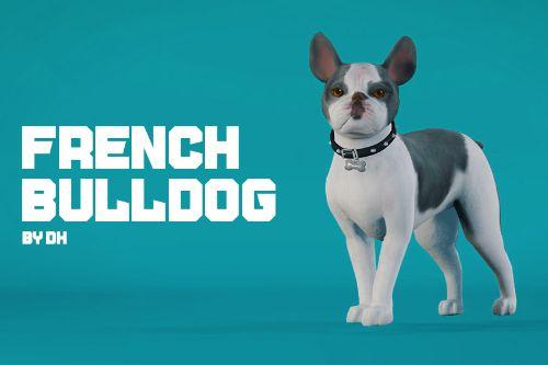 French Bulldog [Add-On / Replace]