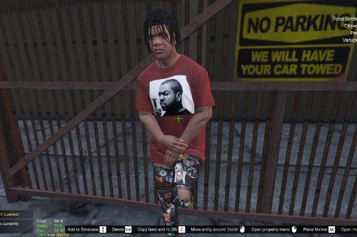 Ice Cube T-shirt for Franklin 