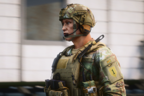 Integrated Head Protection System [EUP]