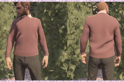 Jumper with Collar for MP Male