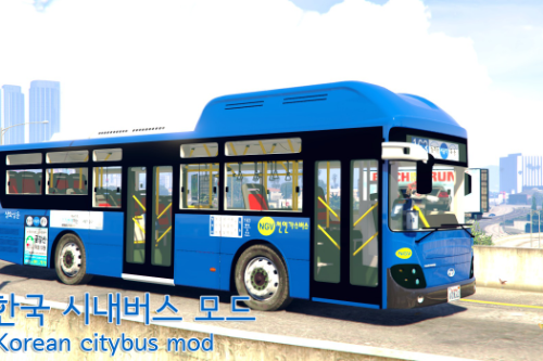 Korean Citybus 163