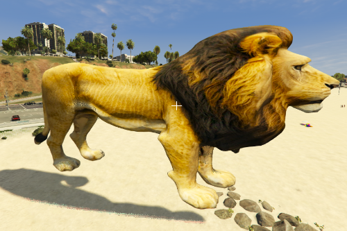 Lion (Addon_prop)