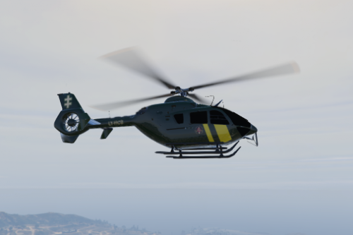 Lithuanian Border Helicopter | EC-135 Gendamerie | Livery