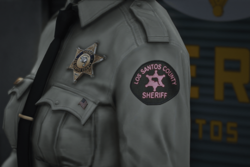 LSCSD Pink Patch + Rank Insignia