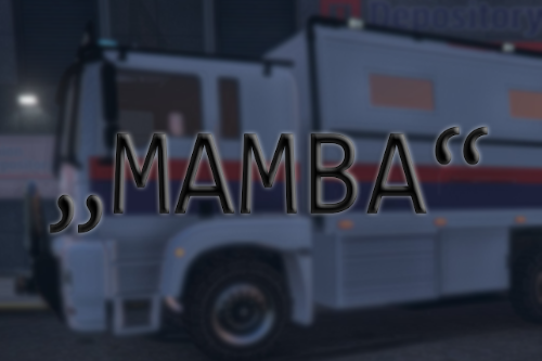 "MAMBA" (Austrian National Bank armored truck) | Österreich