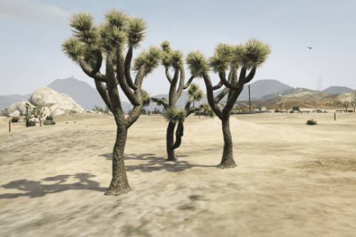 Old Gen Desert Vegetation