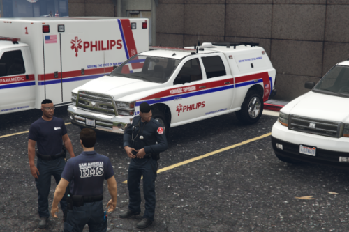 Philip's EMS Livery Pack (Falck SD)