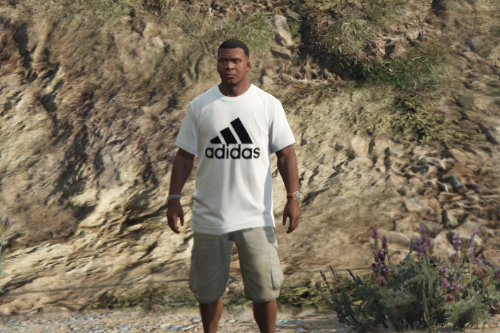 Real T-Shirt pack for Franklin