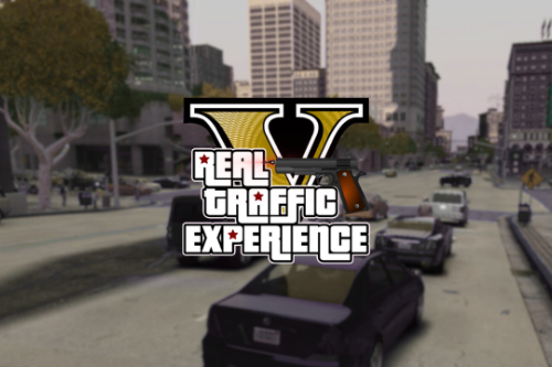 Real Traffic Experience V [OIV]