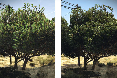 Realistic Vegetation ( New Gen Tree Models )