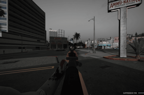 Realistic Weapon FOV