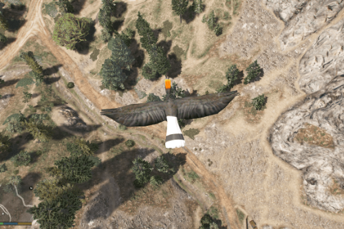 Retexture Hornbill for Flying Animals Mod