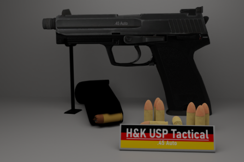 [RoN] H&K USP Tactical 