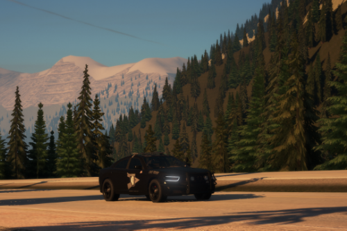 San Andreas State Police