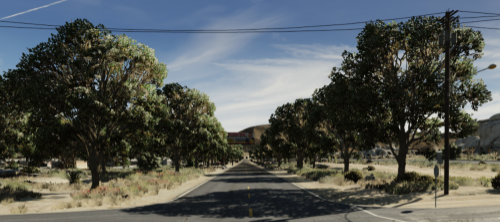 Sandy Shores Joshua Road Minimal Trees [YMAP]