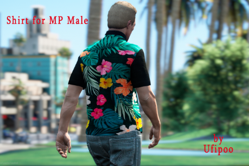 Shirt for MP Male 