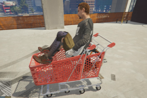 Shopping Cart Jackass Style