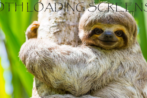 Sloth Loading Screens