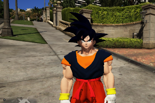 Son Goku Ultra Instinct