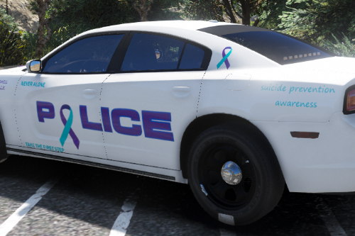 Suicide Awareness 2014 Dodge Charger