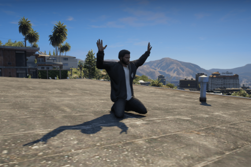 Surrender Animation Mod