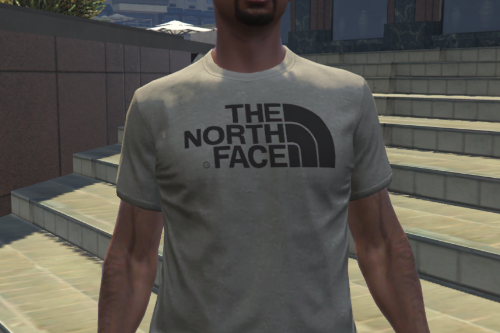The North Face T-Shirt [Mp]